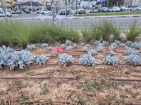 תצלומים ממתחם רעים, קיבוץ בארי (68).