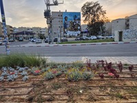 תצלומים ממתחם רעים, קיבוץ בארי (69).