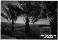 מנזר לטרון 8.1947.