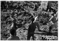 מסד התישבות.