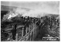 מסד התישבות.