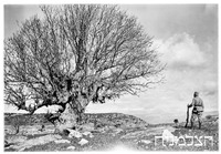 10.1.39 קדש נפתלי עם תחנת משטרה (נבי יושע).