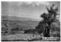 10.1.39 קדש נפתלי מבט לחורזין [=כורזין].