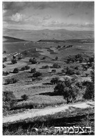 10.1.39 קדש נפתלי אדמות קק"ל.