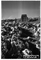 10.1.39 קדש נפתלי.