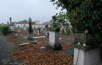 Photograph of: Jewish Cemetery in Acqui Terme.