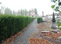 Photograph of: Jewish Cemetery in Acqui Terme.
