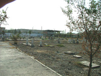 Photograph of: Jewish Cemetery in Fergana.