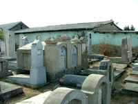 Photograph of: Jewish Cemetery in Fergana.