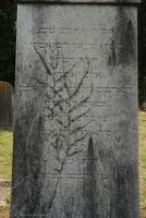 Photograph of: Jewish Cemetery in Alessandria.