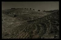 Landscape photos: hills.