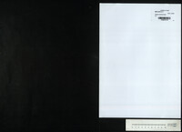 Halluio (manuscript) / Obercantor P. Spektor.
