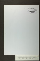 לך השם הגדלה (כתב יד).