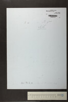 מעוז צור (כתב יד) : טיוטה.