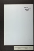 מעוז צור (כתב יד).