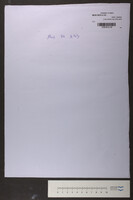 חדש עלינו את החדש הזה (כתב יד). תרע"ד.