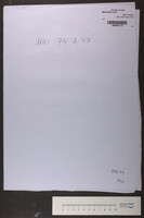 אשרי איש ירא את השם.