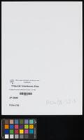 A report to the editorial board, on the collection of materials about the pogroms in Bila Tserkva, Ukraine, submitted by I. Nastaskin and H. Leberg.