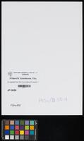 An appeal from the Committee of Jewish Communities in Italy.