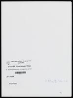 R. Shafar's testimony on pogroms carried out by troops under the command of General Stanisław Bułak-Bałachowicz's in Davyd-Haradok, October 25.