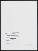 "History of the pogrom movement in Ukraine. 1917-1921"//Brochure of the Historical Archives of Eastern European Jewry, Berlin.