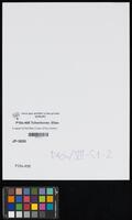 A report of the Red Cross of the shortcomings and successes of Jewish self-defense units (Bohopil, Holta, Holoskove, Krive Ozero). Pogroms in: Yelisavetgrad (Kropyvnytskyi), Holovanovskoye, Skvyra, Cherkasy, Uman, and Felsztyn (Skelivka).