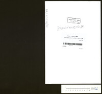 חזן, אליהו.