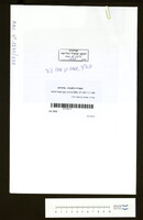 פאייזי, שמחה בן משה ג'איי.