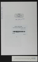 פירירא, אהרן משה.