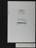פרומקין, ישראל דוב.