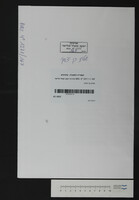 שלום בן יצחק.