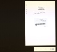 אבואלעפייא, שלמה רחמים.