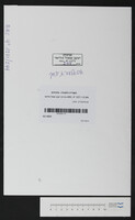 אבואלעפייא, יצחק.