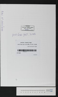 אשכנזי יצחק ומיכל הכהן.