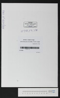 מדיני, חיים חזקיהו.