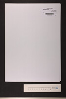 קדושה (כתב יד).