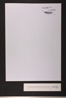על נהרות בבל (כתב יד).