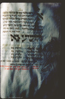 Photograph of: Ulm Mahzor : Fol. 180v.
