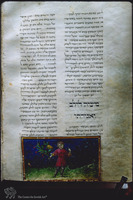 Photograph of: Pesaro Siddur : II, fol. 175v.