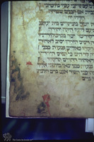 Photograph of: The First New York Joel ben Simeon Haggadah : Fol. 11.