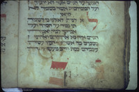 Photograph of: The First New York Joel ben Simeon Haggadah : Fol. 14v, detail.