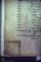 Photograph of: The First New York Joel ben Simeon Haggadah : Fol. 18.