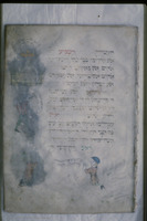 Photograph of: Second Nürnburg Haggadah : fol. 14.