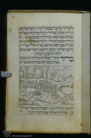 Photograph of: Simmel Haggadah : Fol. 13.
