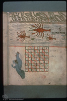Photograph of: Halberstadt Sefer Evronot : Fol. 151v.