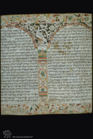 Photograph of: Nathan Esther Scroll : Cols. 4-5.