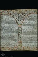 Photograph of: Nathan Esther Scroll : Cols. 7-8.
