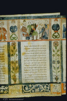 Photograph of: Ferrara Esther scroll : Col. 17.