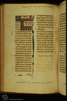 Photograph of: Parma Roman Bible : Fol. 155.