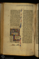 Photograph of: Parma Roman Bible : Fol. 145.